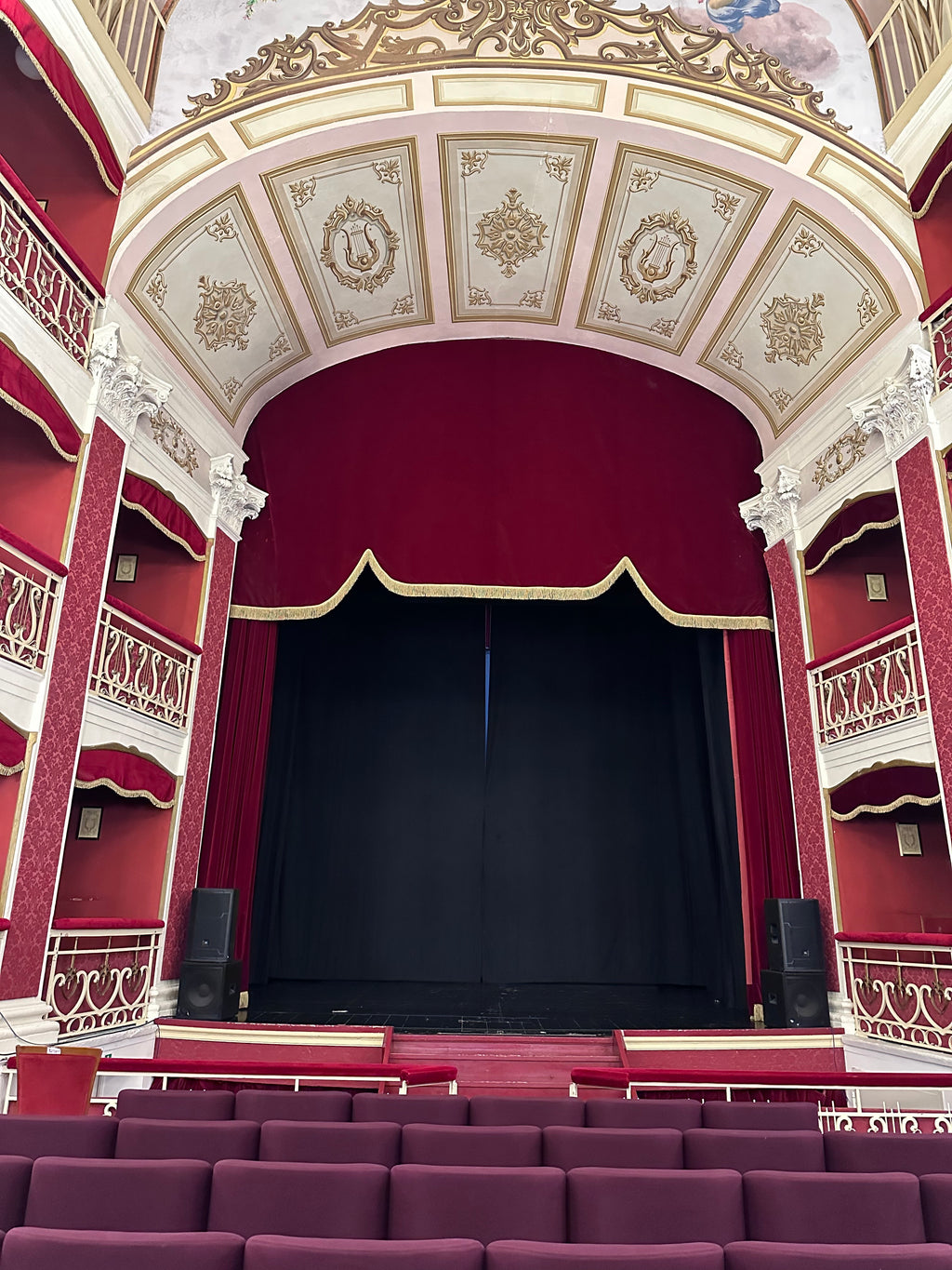 Regalo di fine anno da un'icona di Vogue, Luisa Espanet